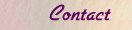 Contact Annie