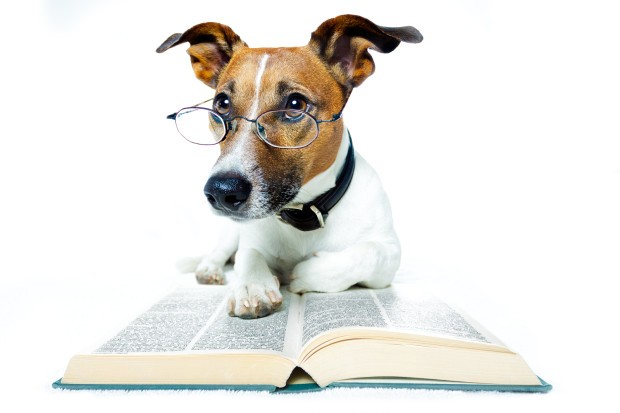 3 Ways To Tell If You Have A Good Book Promotion Strategy