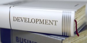 Why You Need A Developmental Editor